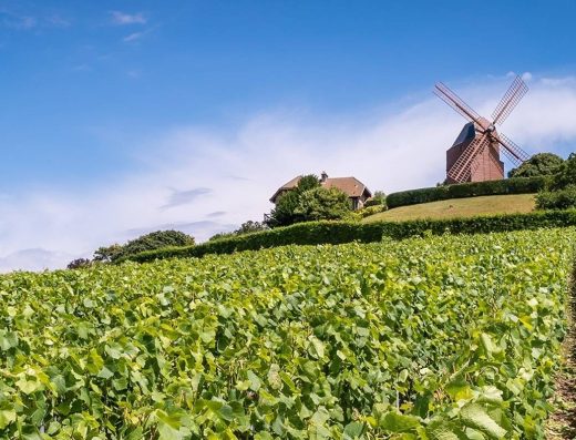 Le Sentier du Vigneron, wijnbeleving via Wijnreis